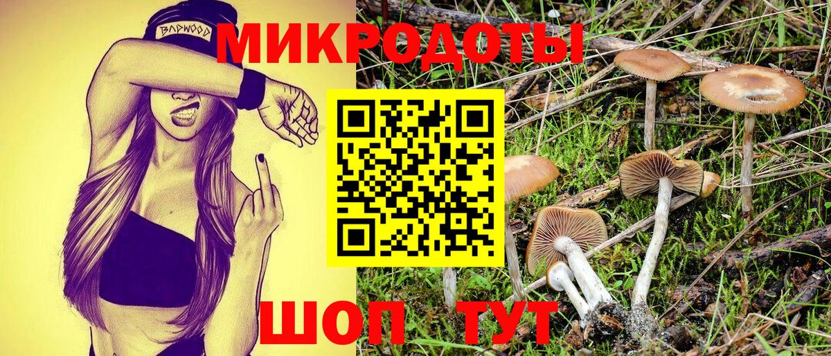 Галлюциногенные грибы прущие грибы  Псилоцибиновые грибы MAGIC MUSHROOMS  Фрязино  Вход с VPN 